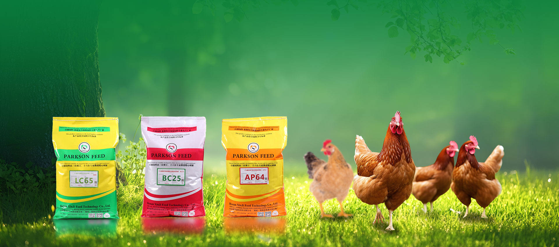 Profesjonalny producent premixów drobiu
